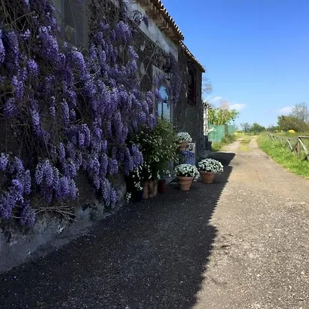 Farm stay Agriturismo Oasi Dell'etna Mascali