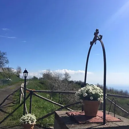 Agriturismo Oasi Dell'etna *